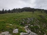 Plateau du Cornafion et Col Vert 2023-07-01