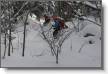 ensuite c'est ski-sanglier dans les sous-bois