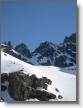 WE GAG Ski Alpi