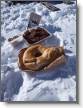 Une bonne sortie gastro comme on aime