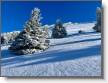 IMG_5881.jpeg