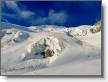 IMG_7205.jpeg