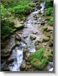 jolie cascade en sous-bois