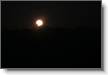 IMG_3740 - la Lune dans un crin.JPG