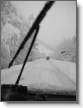 Stage Neige et Avalanche de janvier
