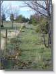 DSC00126.JPG