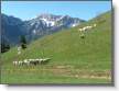 Tour des Haberts de Grande Chartreuse