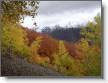 DSC00694.JPG