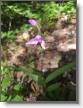 IMG_20240702_104725.jpg