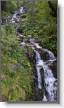 PXL_20240804_081126489.MP.jpg
