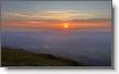 IMG_4505.jpeg