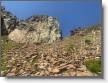 IMG-20250810-WA0013.jpg
