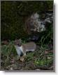 IMG-20260630-WA0014.jpg