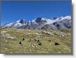 IMG-20260824-WA0038~2.jpg