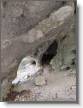 IMG-20260815-WA0014.jpg