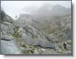 neige cordier et les agneaux