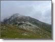 IMG_7972.jpeg