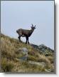 IMG_8306.jpeg