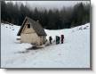 IMG-20250113-WA0002.jpg