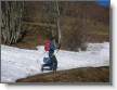 Un Titi cherchant la neige