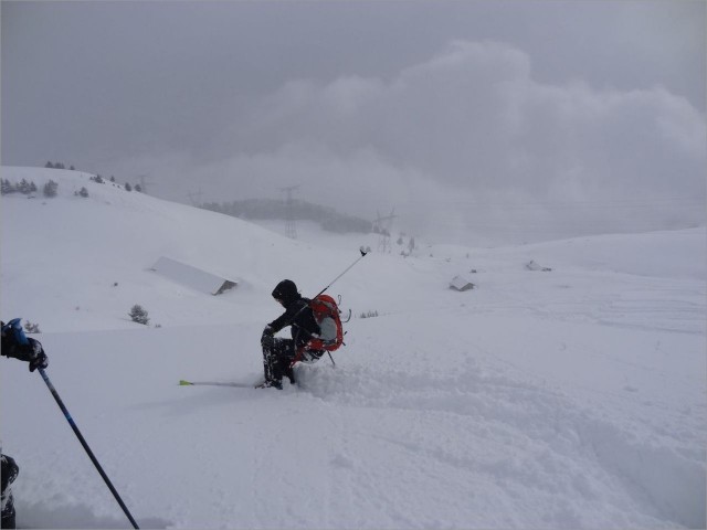 DSC03007.JPG
