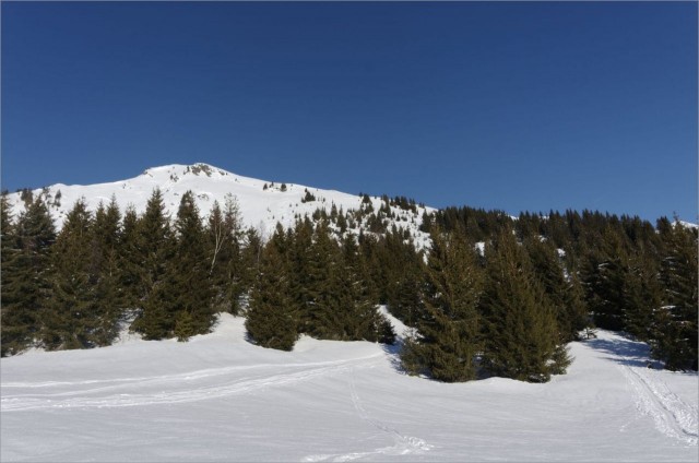 2018-01-13,11-27-21,Le Char de la Turche.jpg