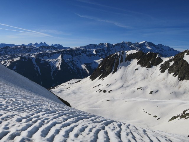 IMG_9766_1.JPG