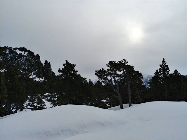 20190309_090523_HDR.jpg
