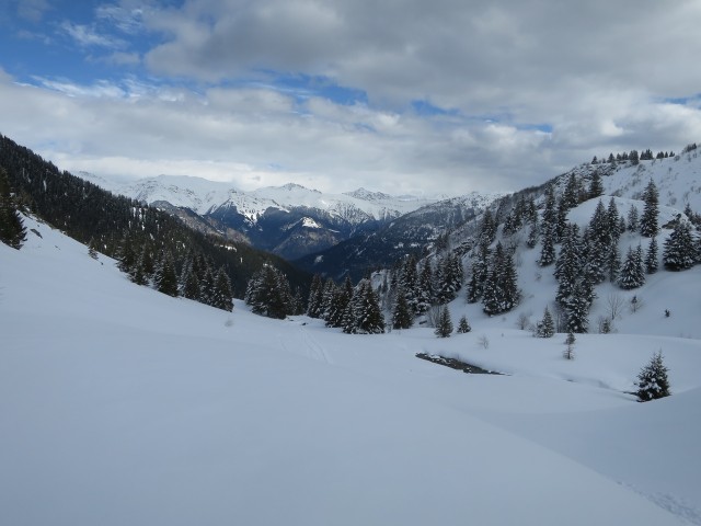 IMG_3987_1.JPG