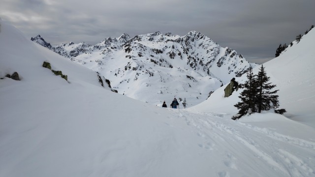 IMG_20240114_110223_1.jpg