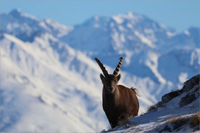 WhatsApp Image 2025-11-29 at 18.28.59 (1.jpeg