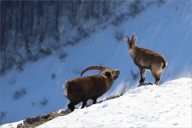 WhatsApp Image 2025-11-29 at 18.28.59 (2.jpeg