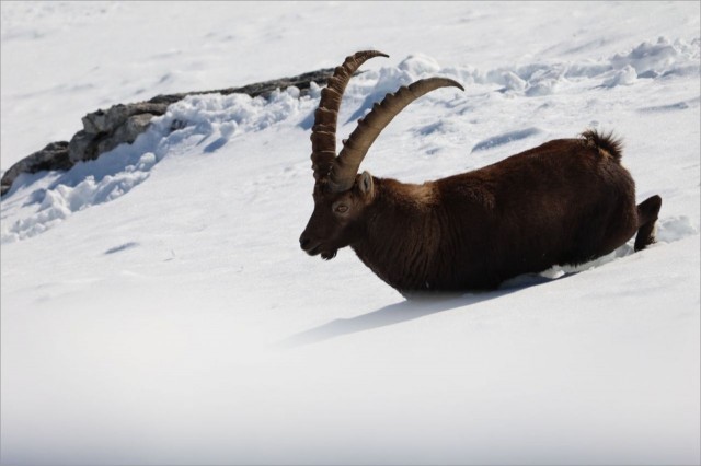 WhatsApp Image 2025-11-29 at 18.28.59.jpeg