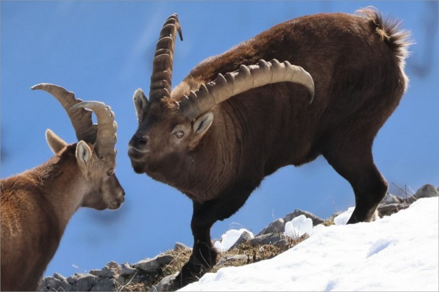 WhatsApp Image 2025-11-29 at 18.29.00 (1.jpeg