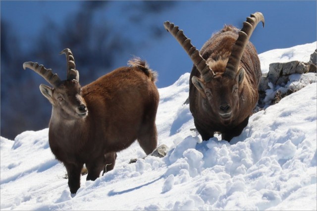 WhatsApp Image 2025-11-29 at 18.29.00 (2.jpeg