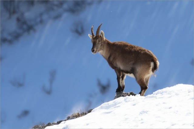 WhatsApp Image 2025-11-29 at 18.29.00 (3.jpeg