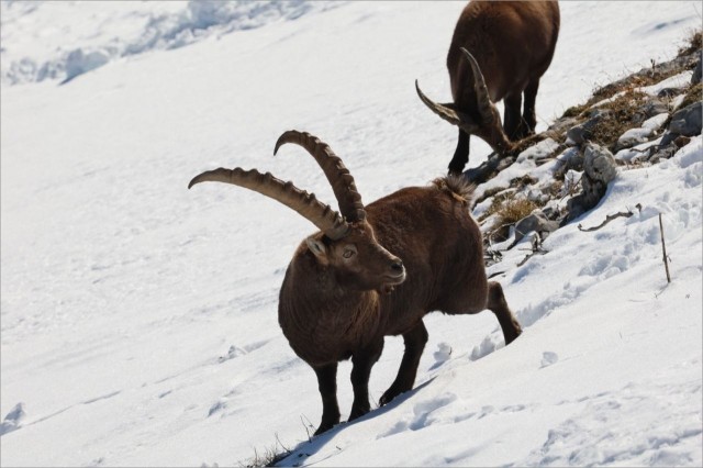 WhatsApp Image 2025-11-29 at 18.29.00 (4.jpeg