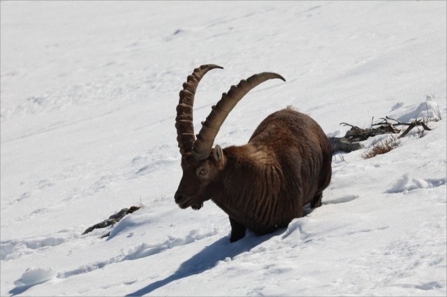 WhatsApp Image 2025-11-29 at 18.29.00 (5.jpeg