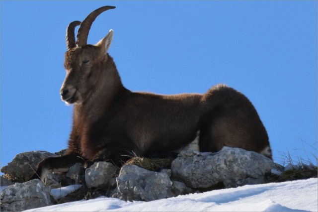 WhatsApp Image 2025-11-29 at 18.29.00.jpeg