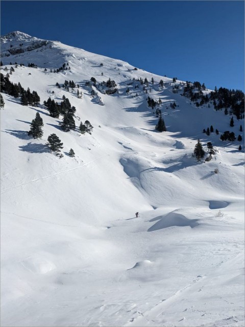 WhatsApp Image 2025-11-29 at 18.34.53 (1.jpeg