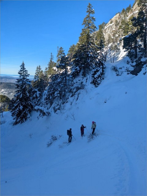 WhatsApp Image 2025-11-29 at 18.34.53.jpeg