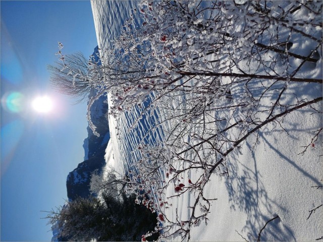 20250113_101239.jpg