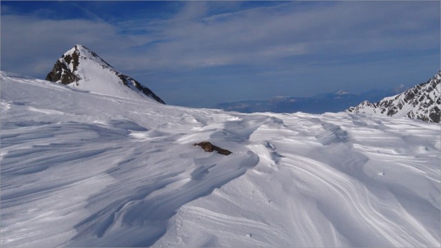 DSC_0942.JPG