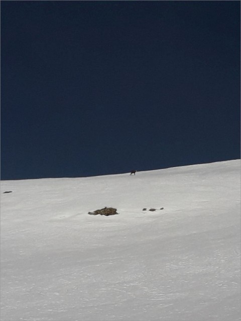 20250221_165203.jpg
