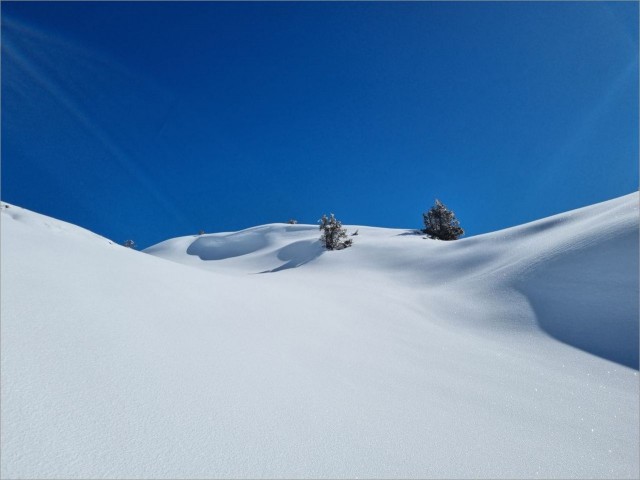 20250317_102835.jpg