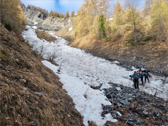 20250428_074756.jpg