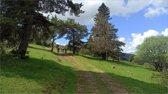 IMG_20260508_125552.jpg
