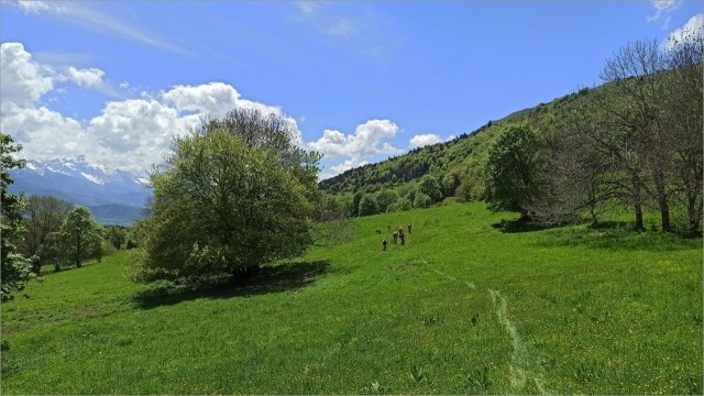IMG_20260508_133236.jpg