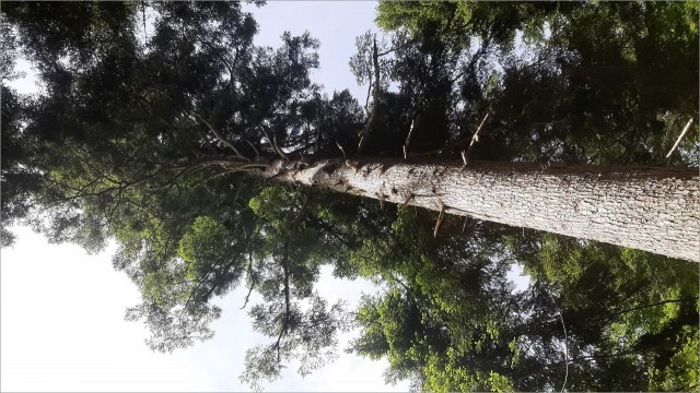 20260607_153054.jpg