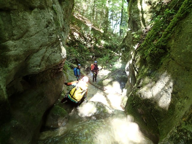 Colombire7 (3).JPG